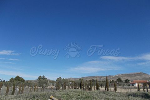 Villa i Yecla, Murcia, Yecla - € 419.900 | Ref: SF0156 - foto 31